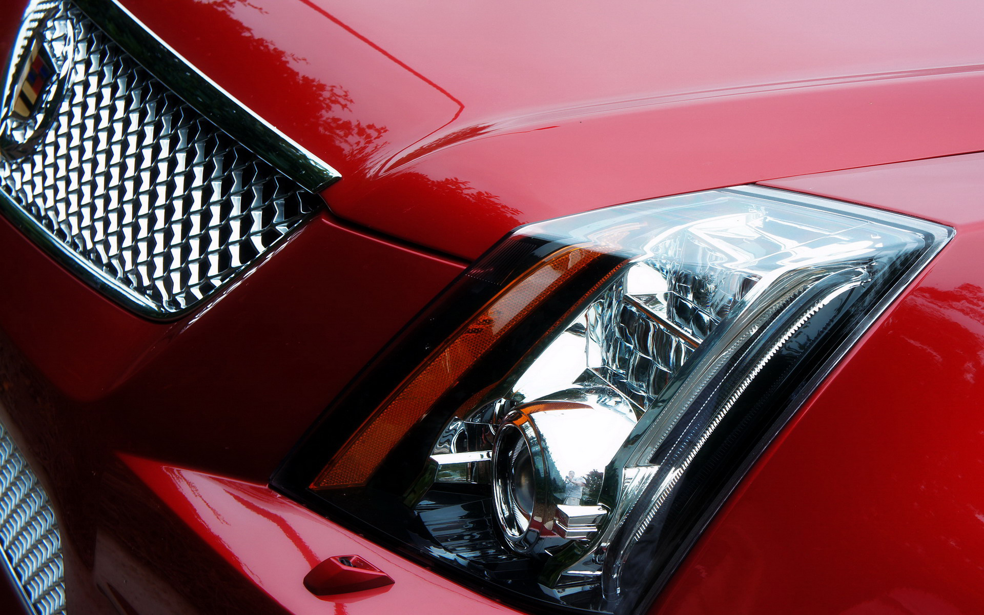 Liveangarsk auto desktop 007