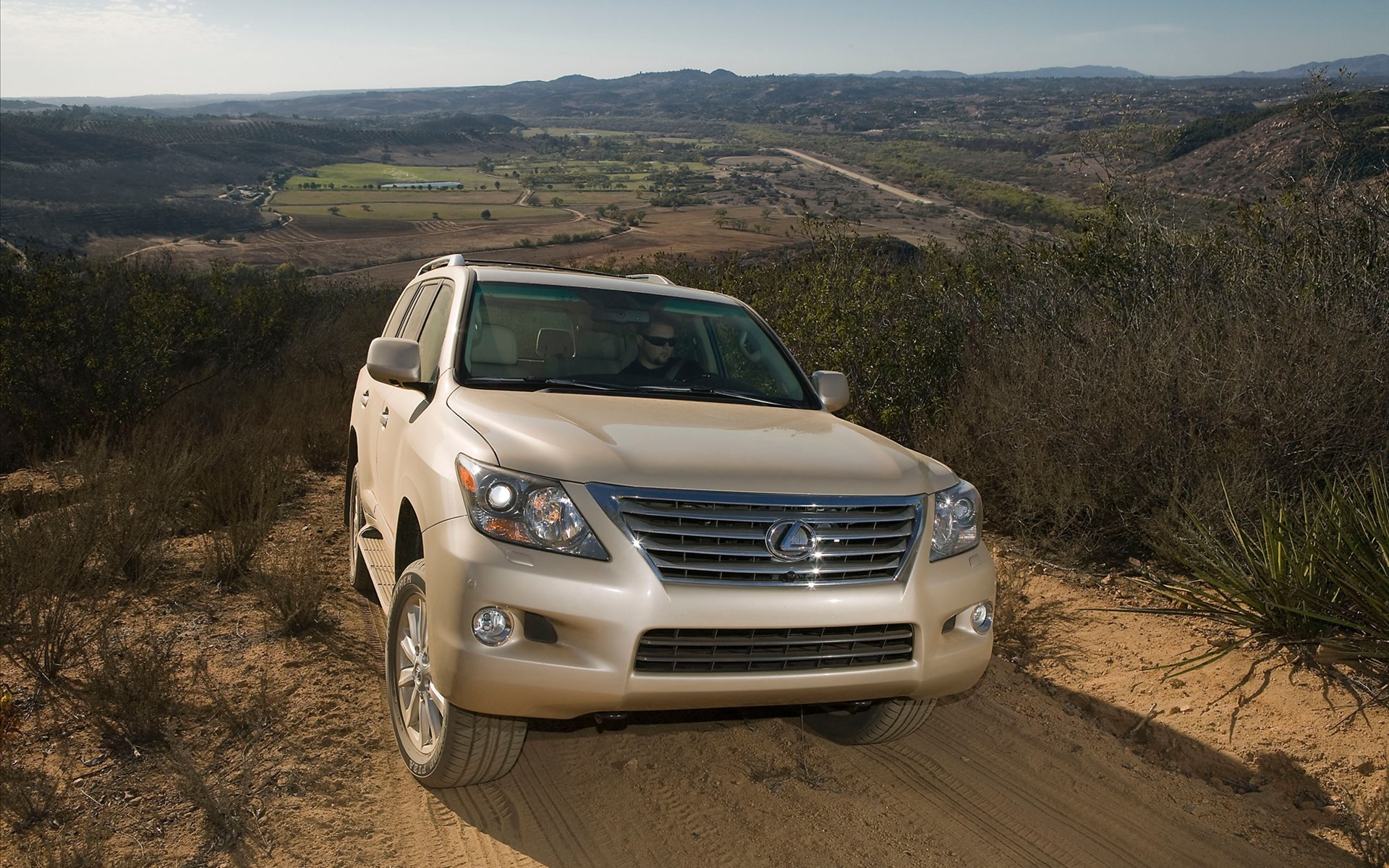 Liveangarsk auto desktop 063