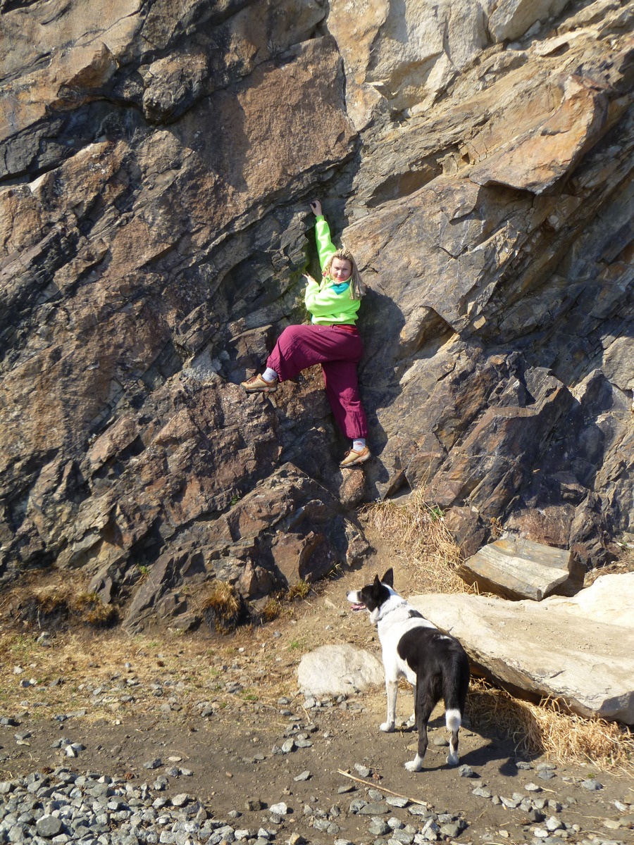 Хозяйка, я туда не полезу, ниче там вкусного нет, я  проверяла