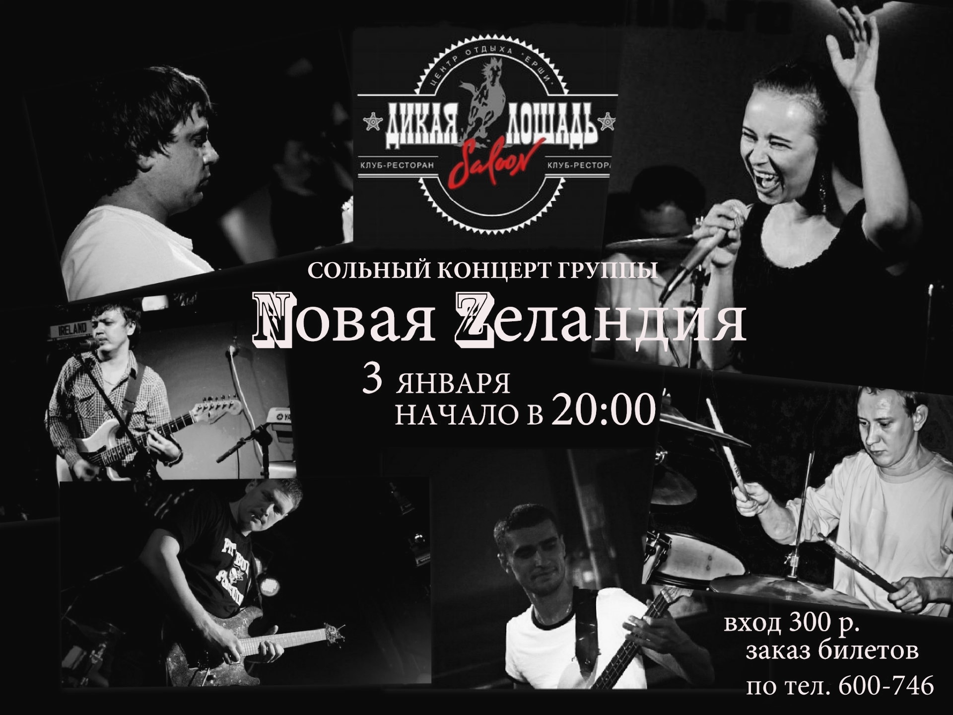 Nовая Zеландия в Дикой Лошади