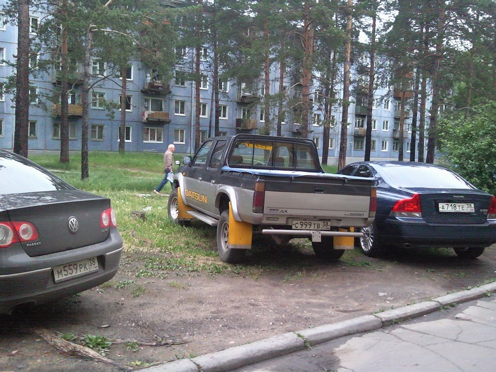 Они на газонах!