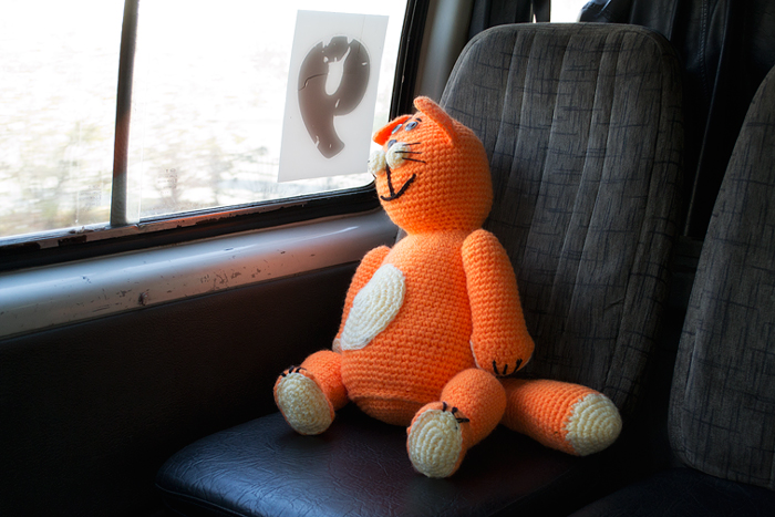 Случай в маршрутке