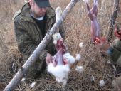 Торговый центр "МЕГА"