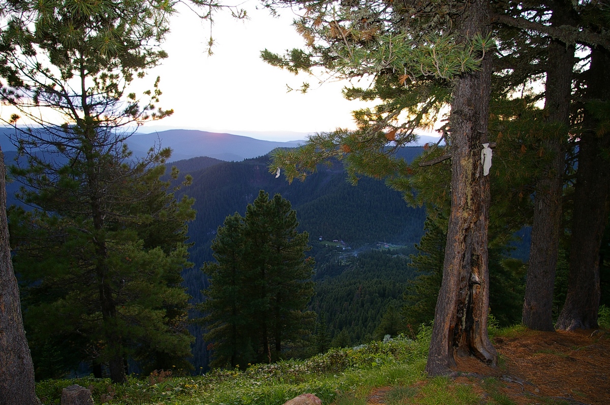 Метеостанция: вид с серпантина