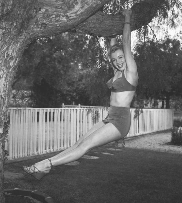 Очередная Норма)))