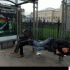 в монако