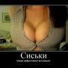 сами понимаете.... сами понимаете....