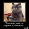Mposter 42748