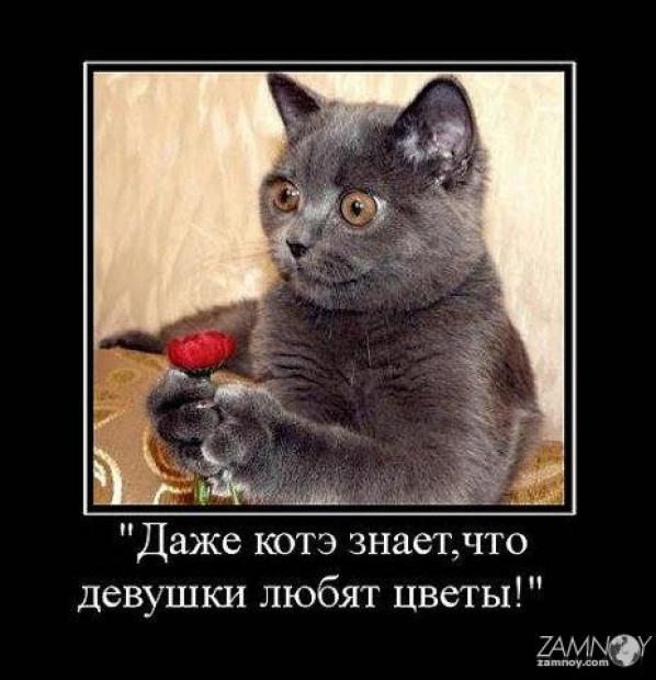 Mposter 42748