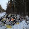 Несанкционированную свалку мусора около трассы М-53 обнаружили работники отдела лесного надзора администрации города Несанкционированную свалку мусора около трассы М-53 обнаружили работники отдела лесного надзора администрации города