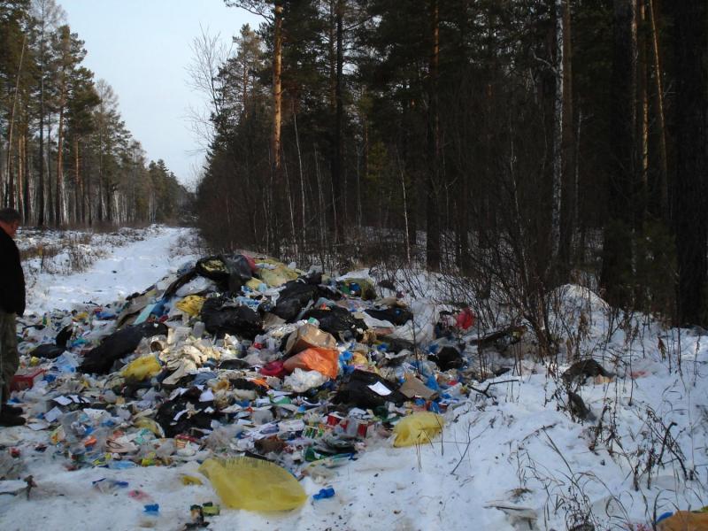 Несанкционированную свалку мусора около трассы М-53 обнаружили работники отдела лесного надзора администрации города 