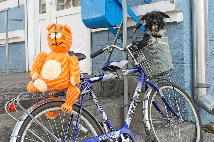 Друг познается в радости!