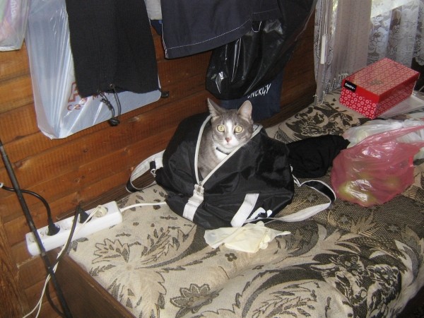 Ну , слава богу, добрались!!!!