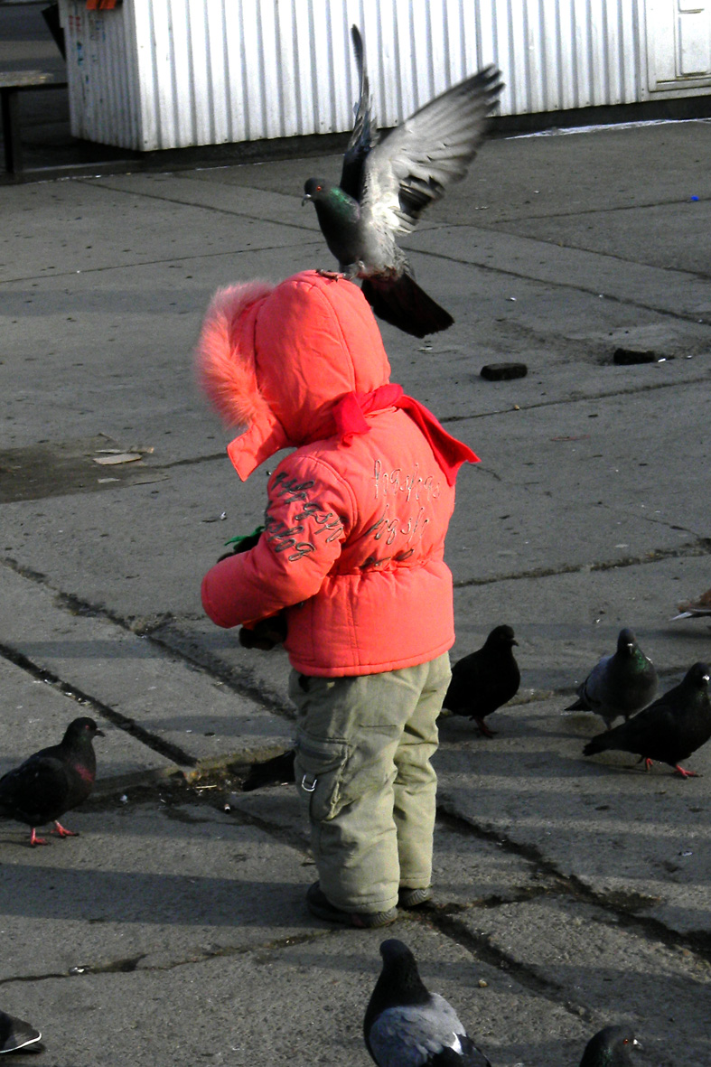 Посадка прошла успешно!