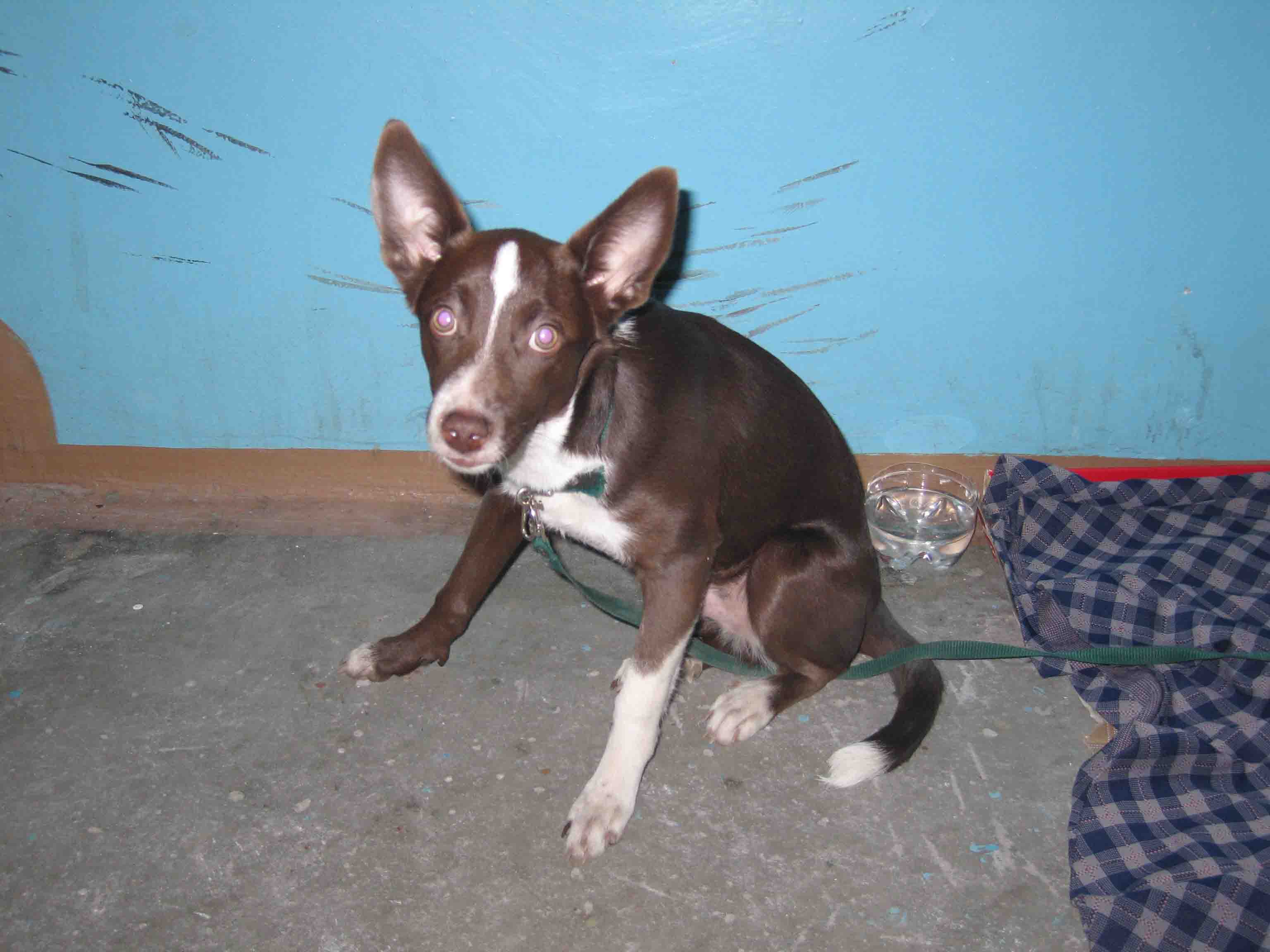 ХОЗЯИН ОТЗОВИСЬ ХОЗЯИН ОТЗОВИСЬ