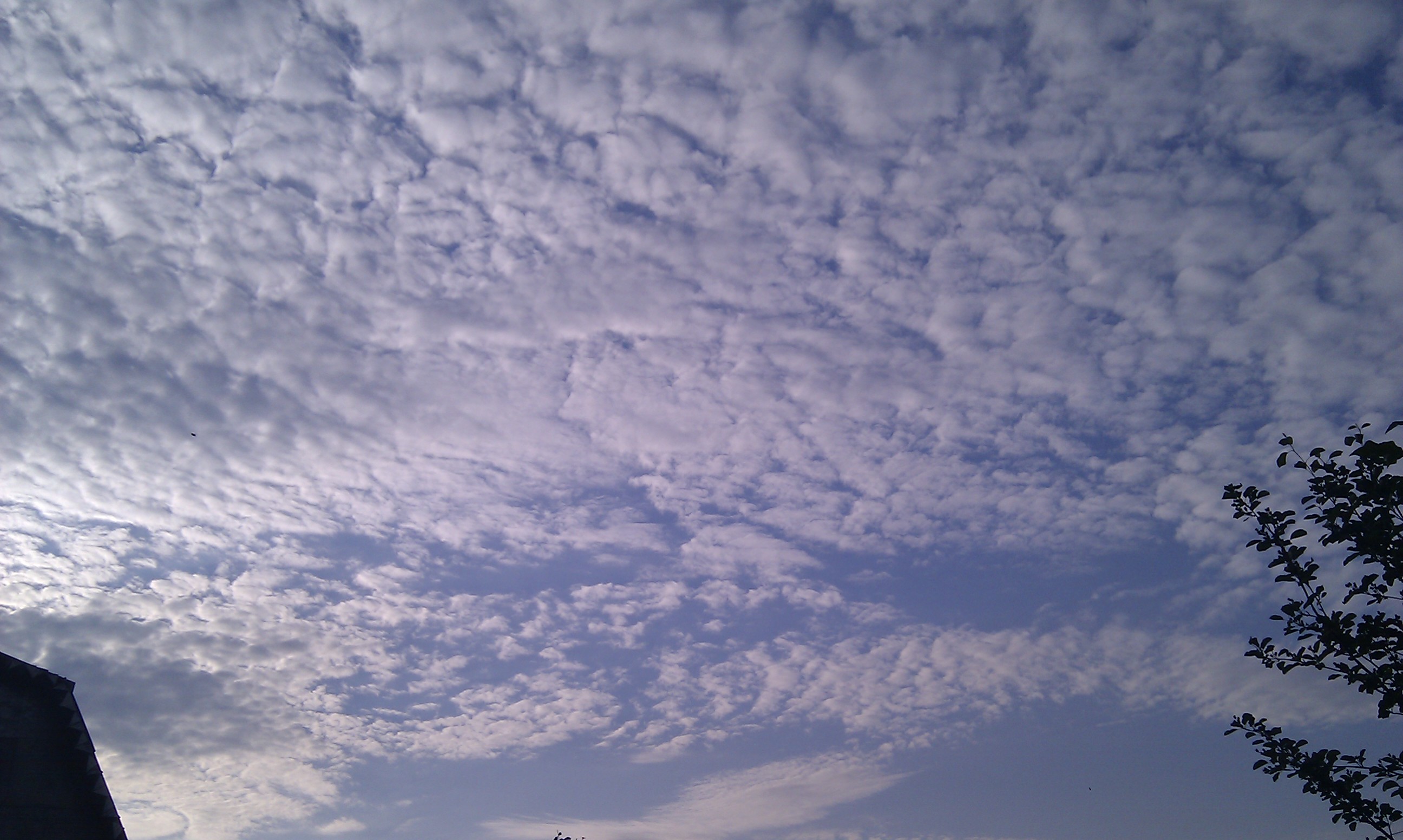 Очередное облако))))))