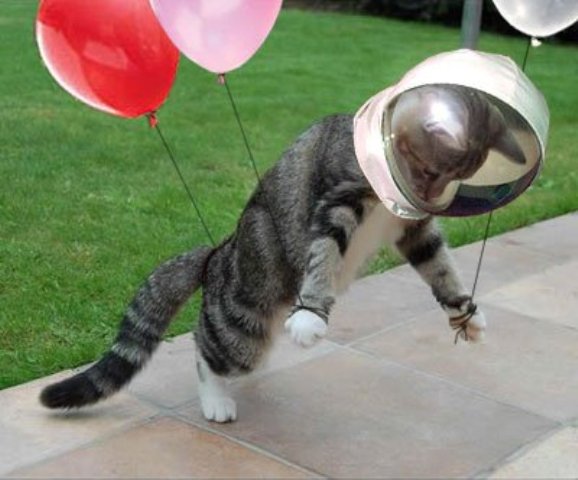 кастюмчики