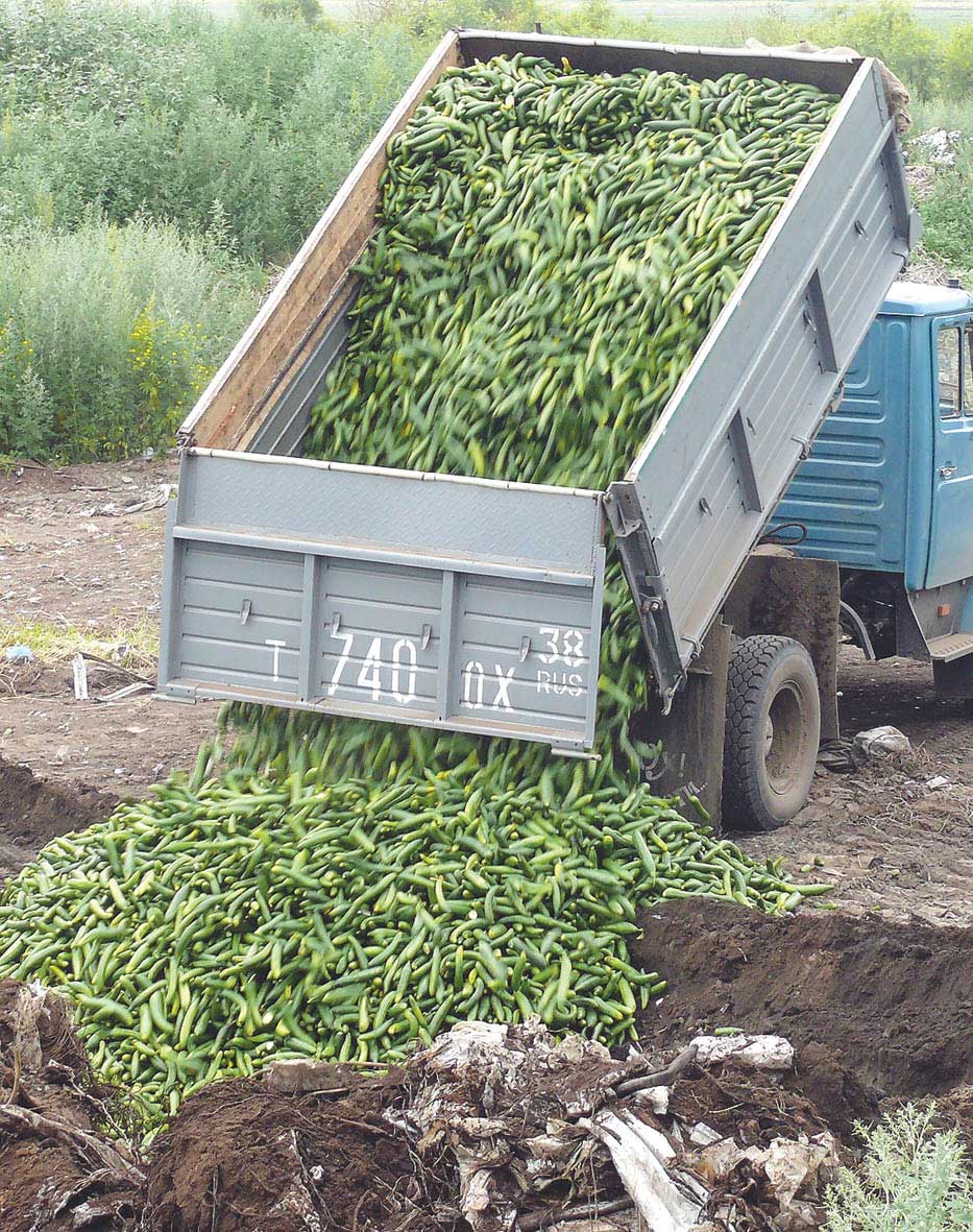 Через минуту эти огурцы будут уничтожены