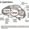 ОХ уж эта статистика!