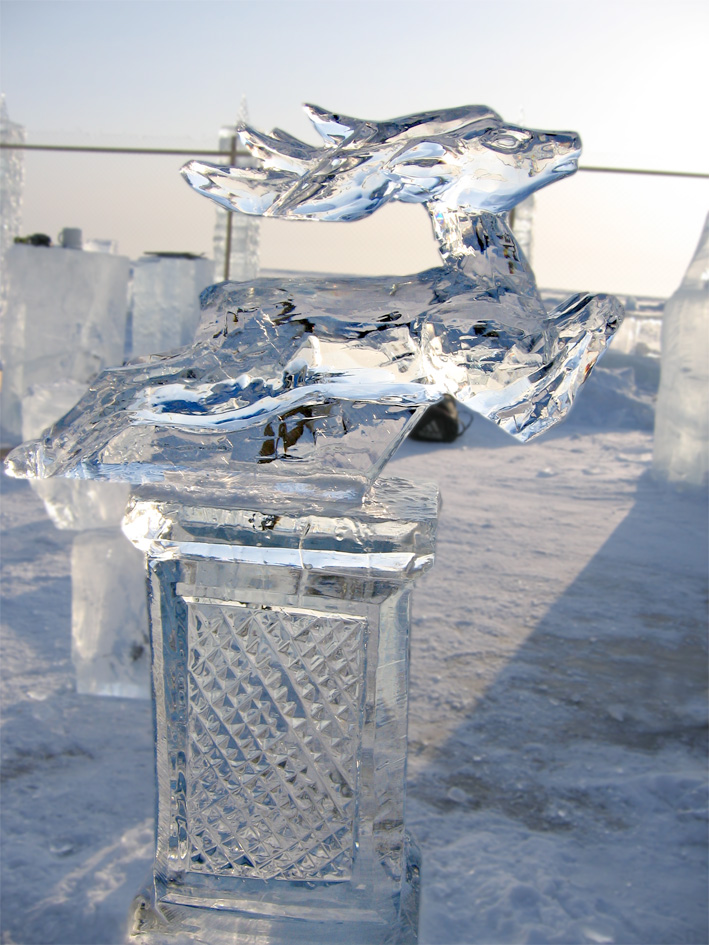 Неси меня олень