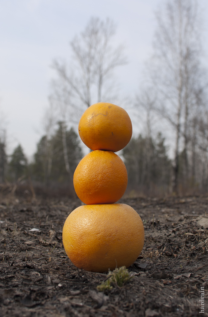 Oranges woman