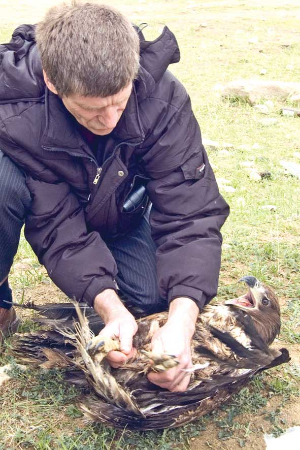 Отпускаем на волю