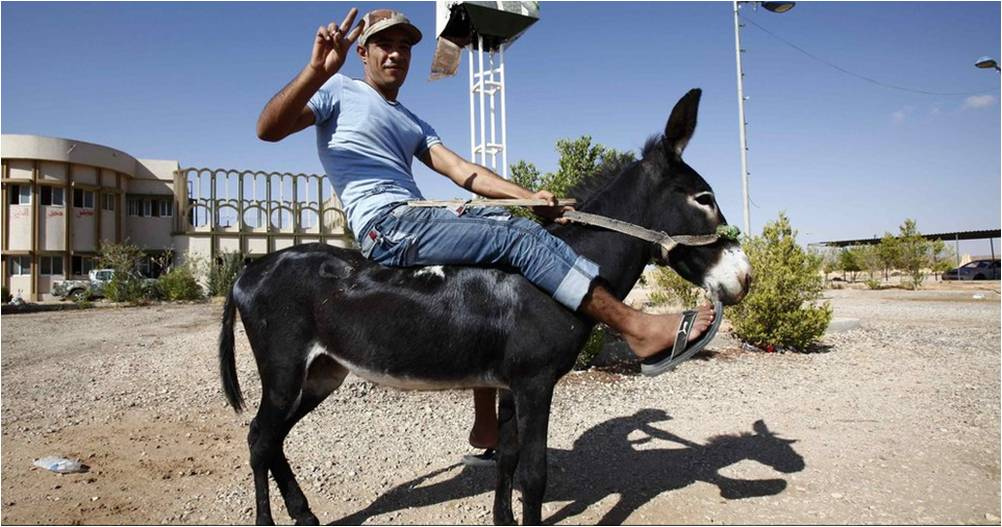 Омар Салим Гоча-командир элитной бригады повстанцев