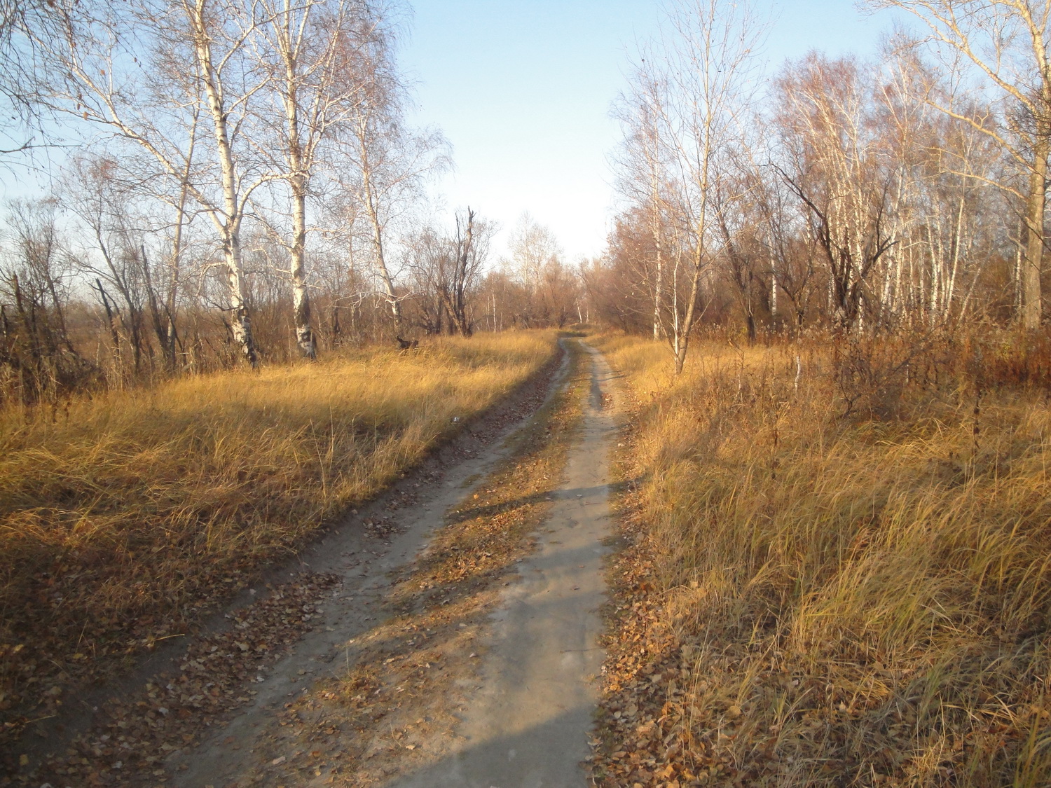 Осенняя дорога))))))