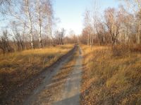 Осенняя дорога))))))