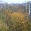 Osinь