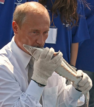 Путин и осётр