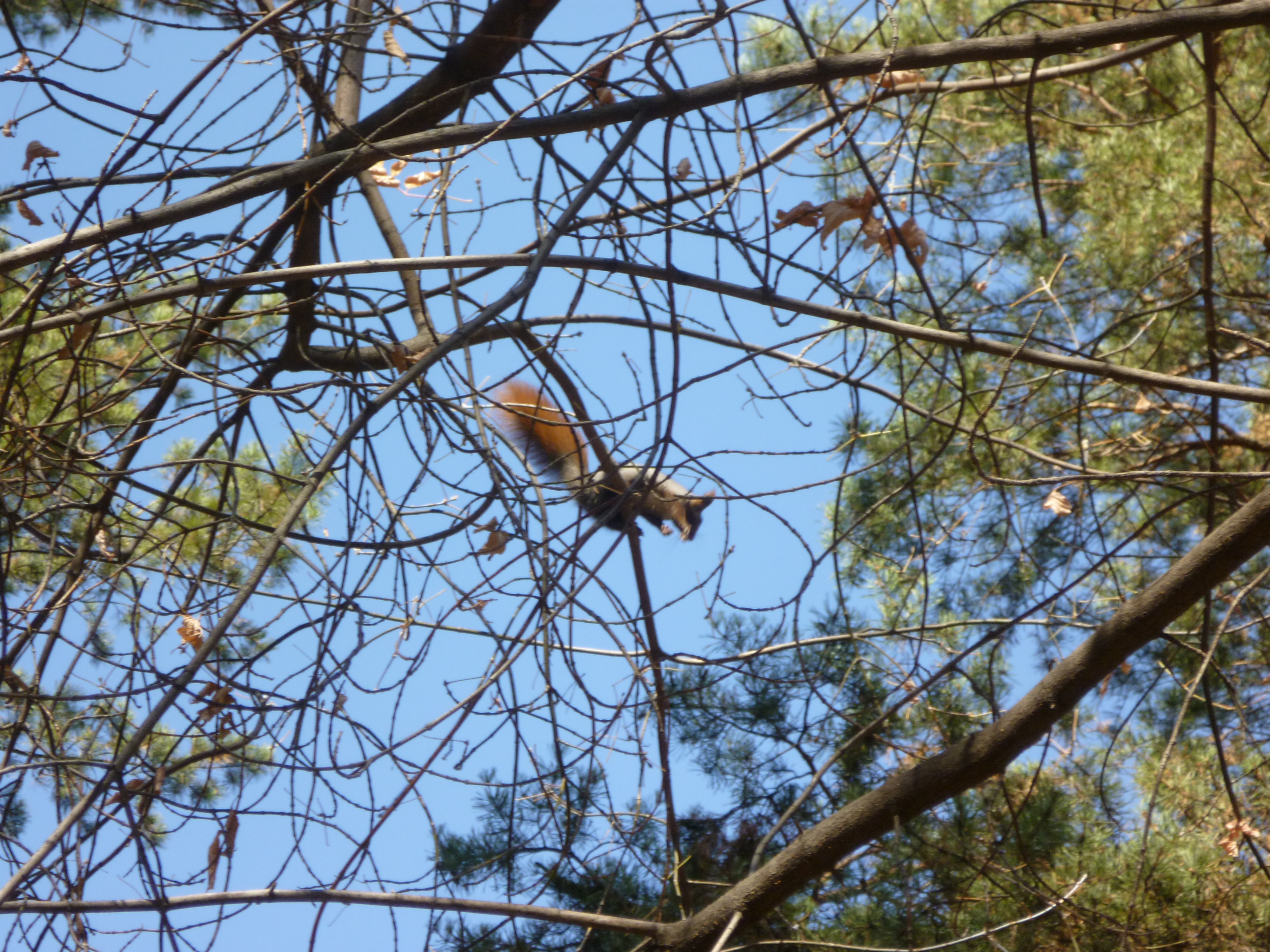 В парке "Строителей" - 10 октября 2011 г.