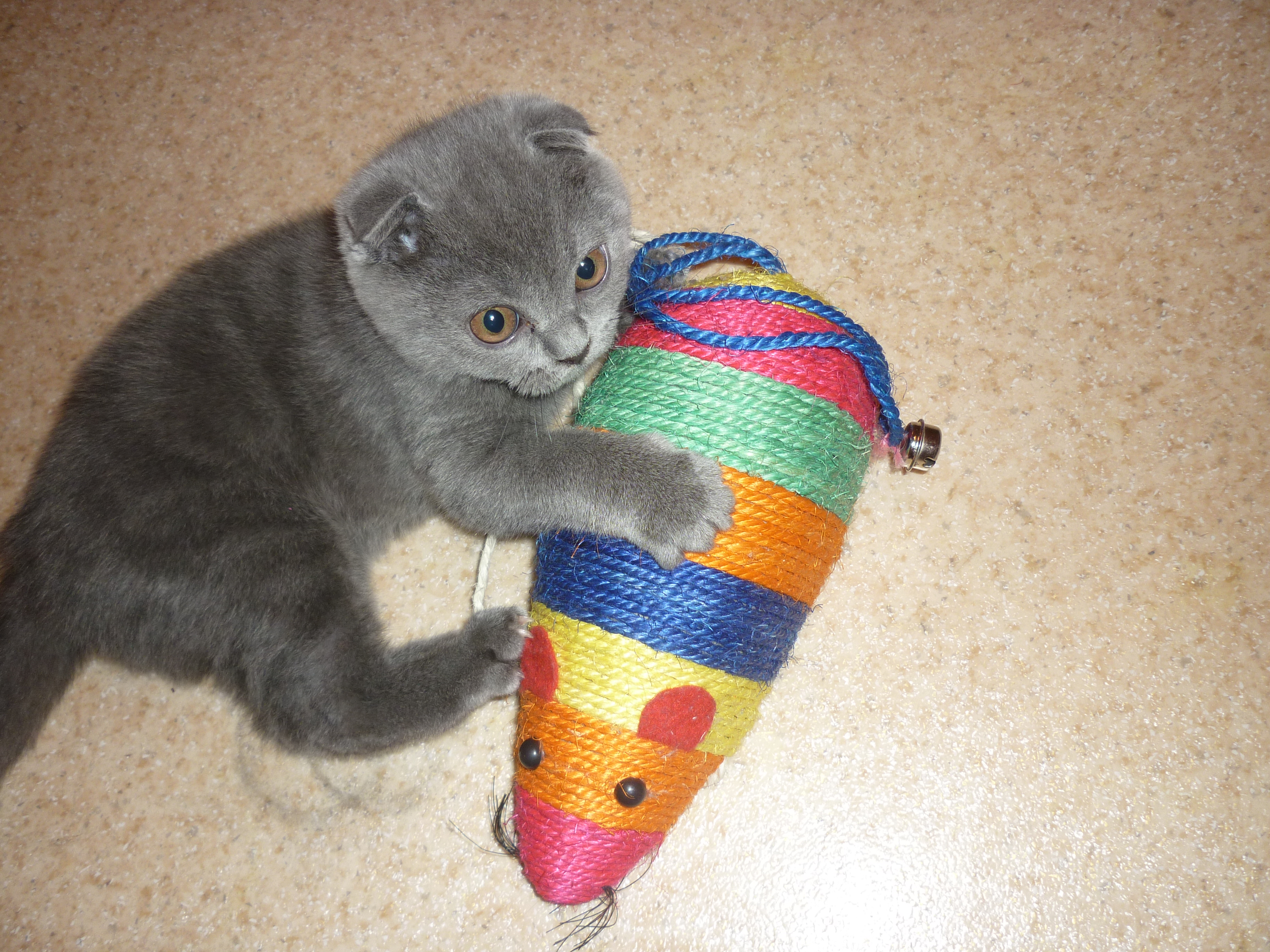 Мышка-переросток