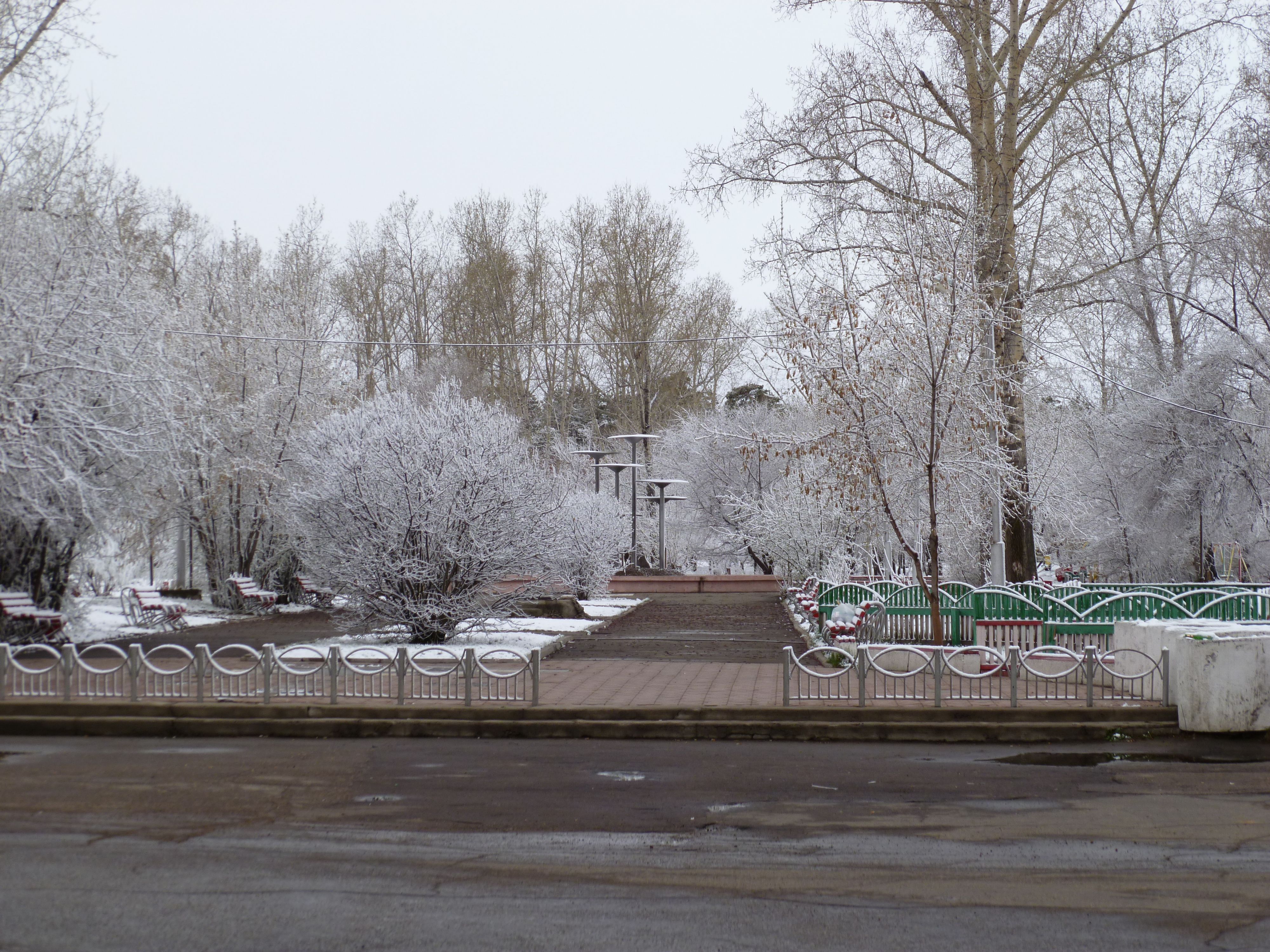 Заснеженный парк