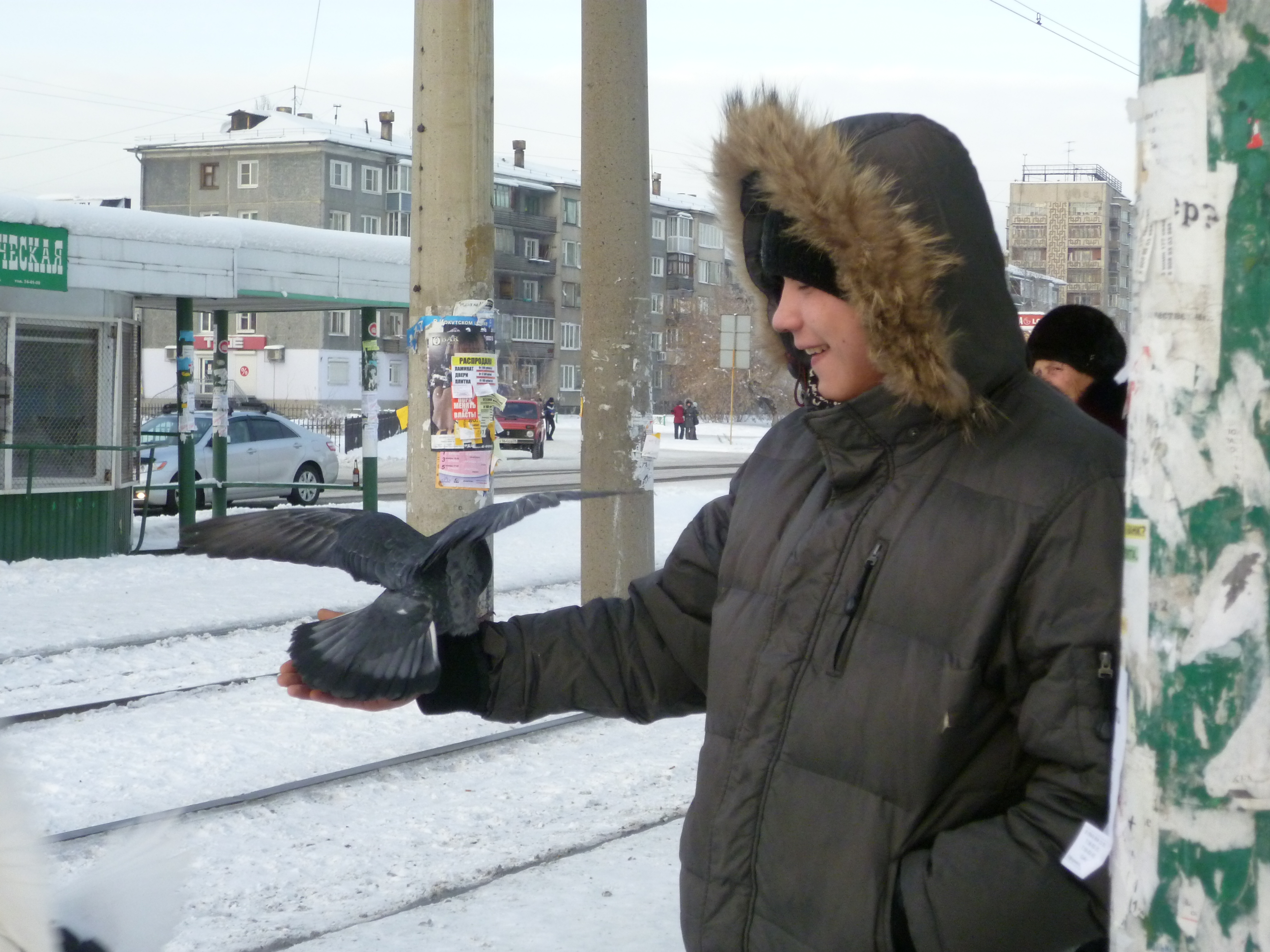 На останоке...