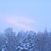 Дракон над Ангарском Дракон над Ангарском