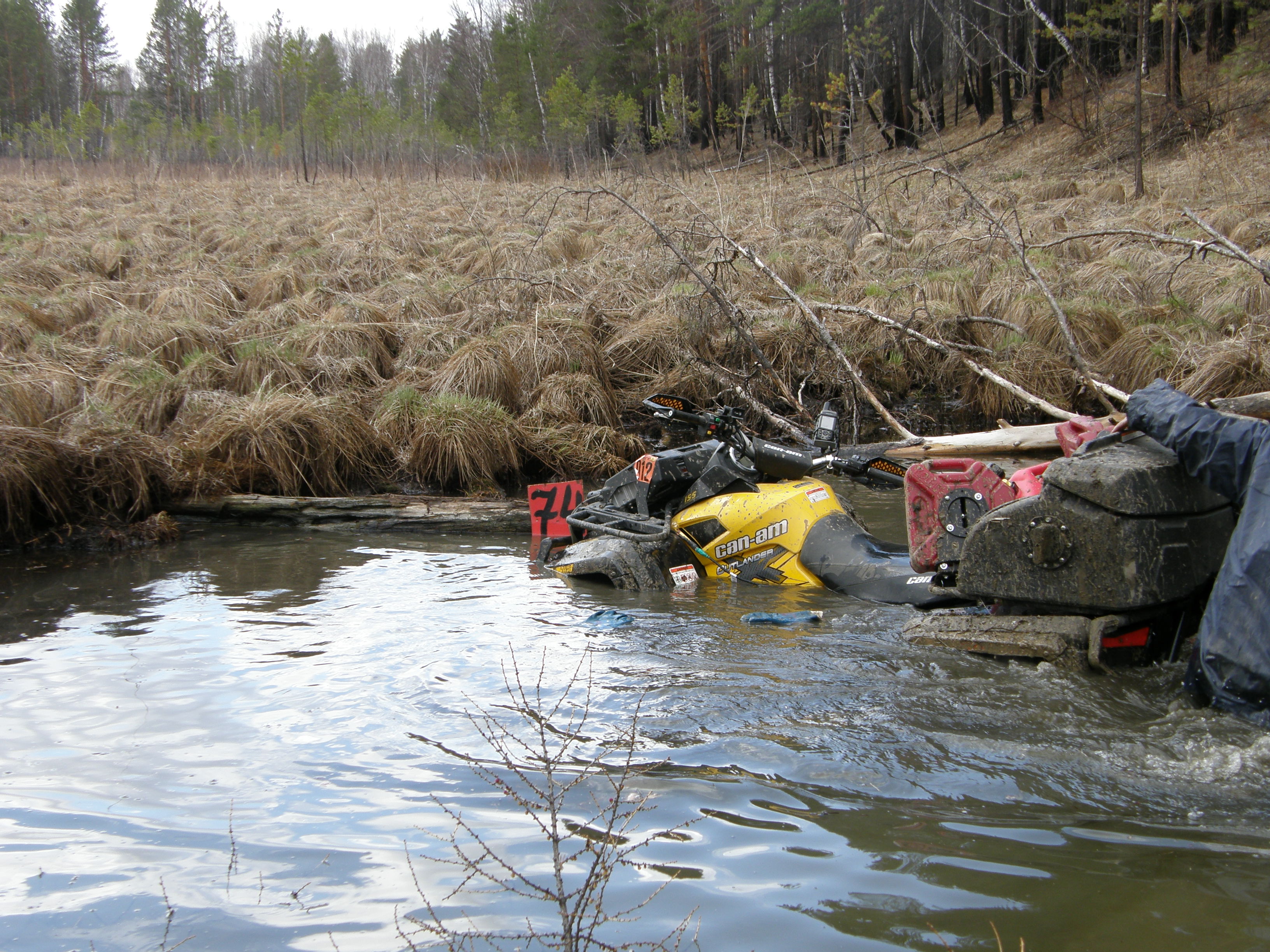 майофкаа 20011