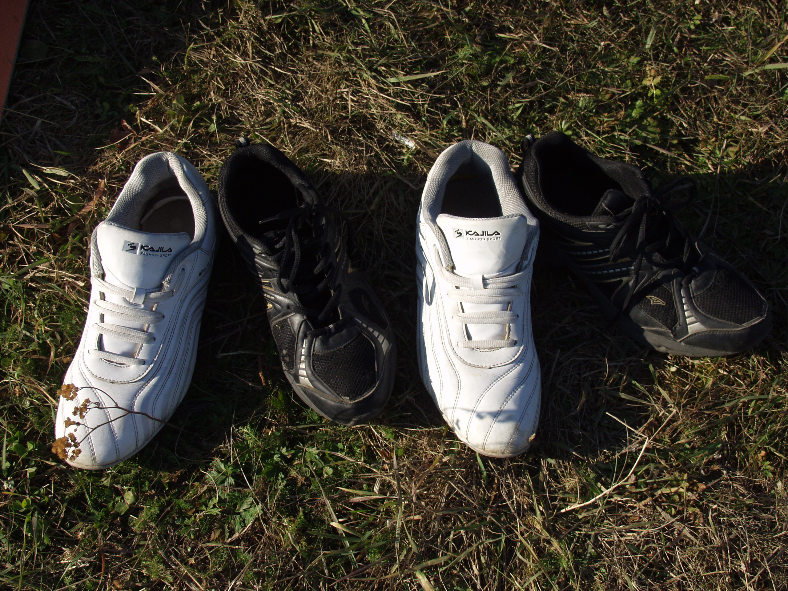 мы такие разные, но мы вместе