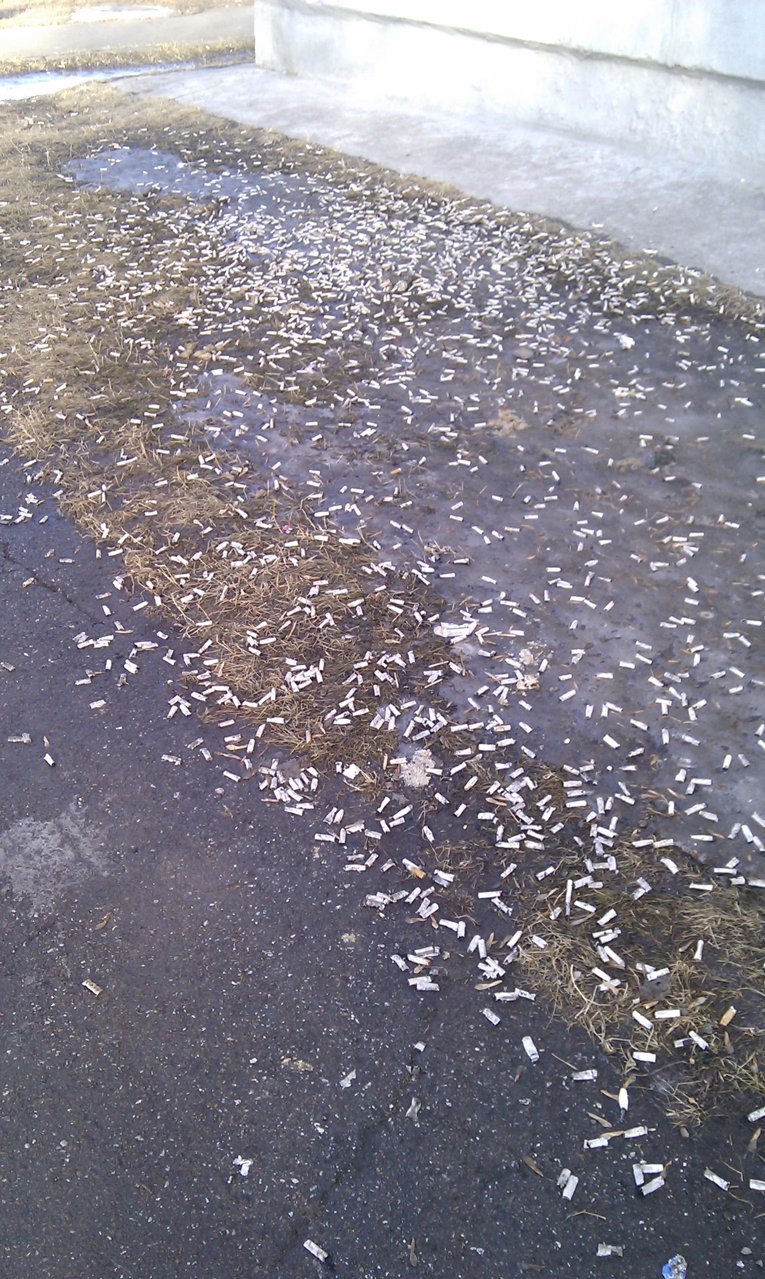 Пакурилибл.....