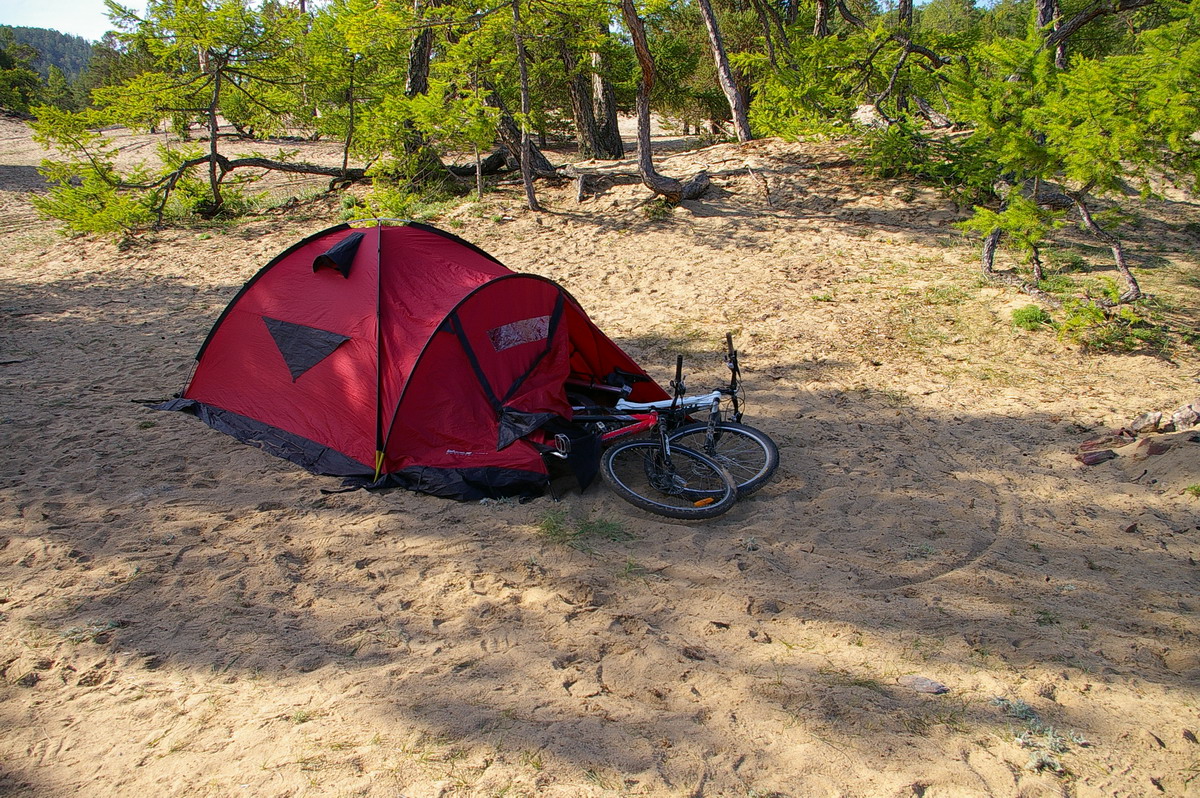 лежбище вело-котиков