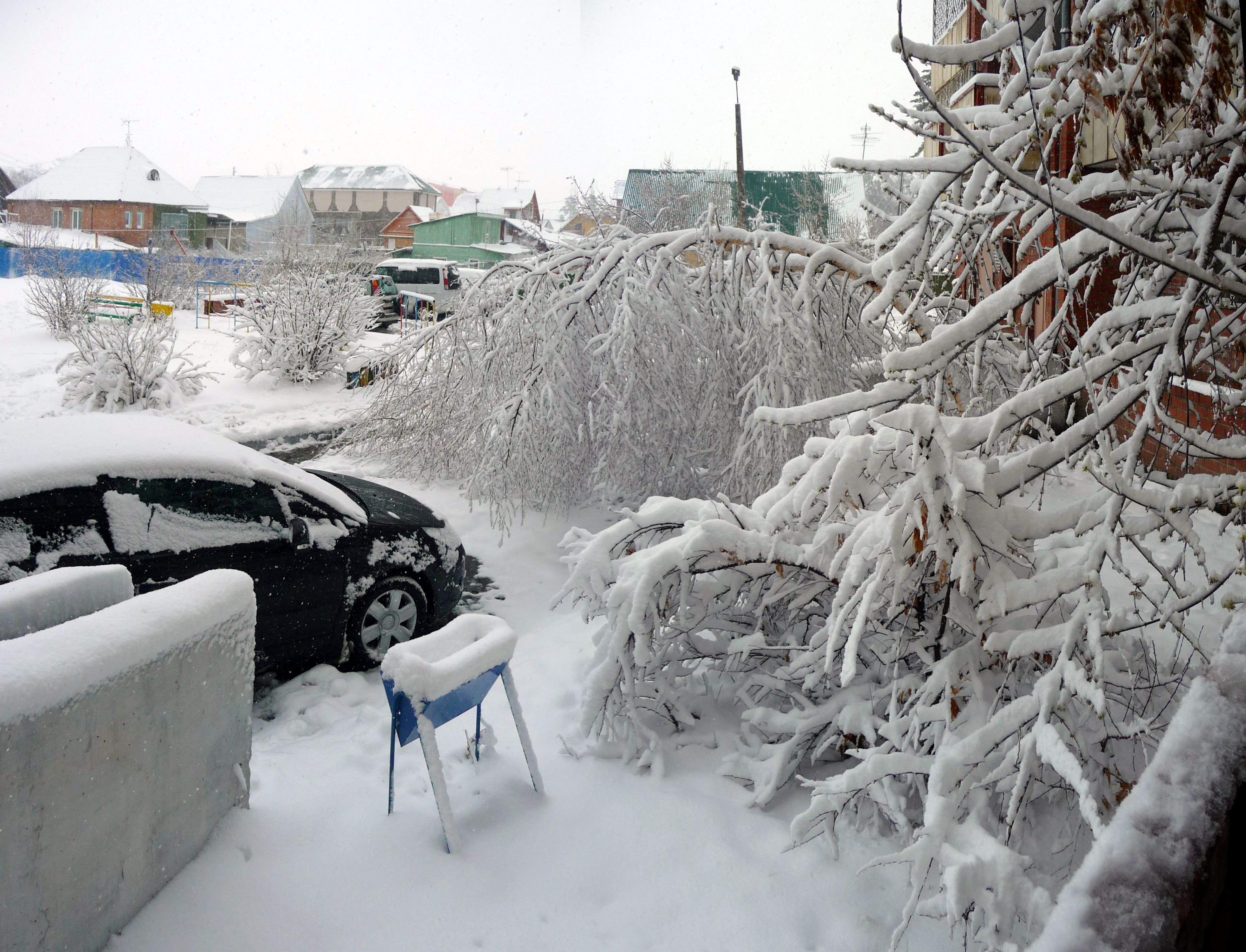 сегодня во дворе природа "опустила шлагбаум"