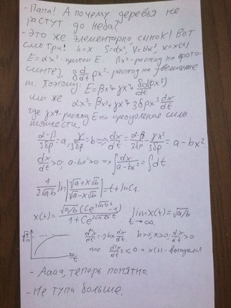 Papa a pochemu derevya