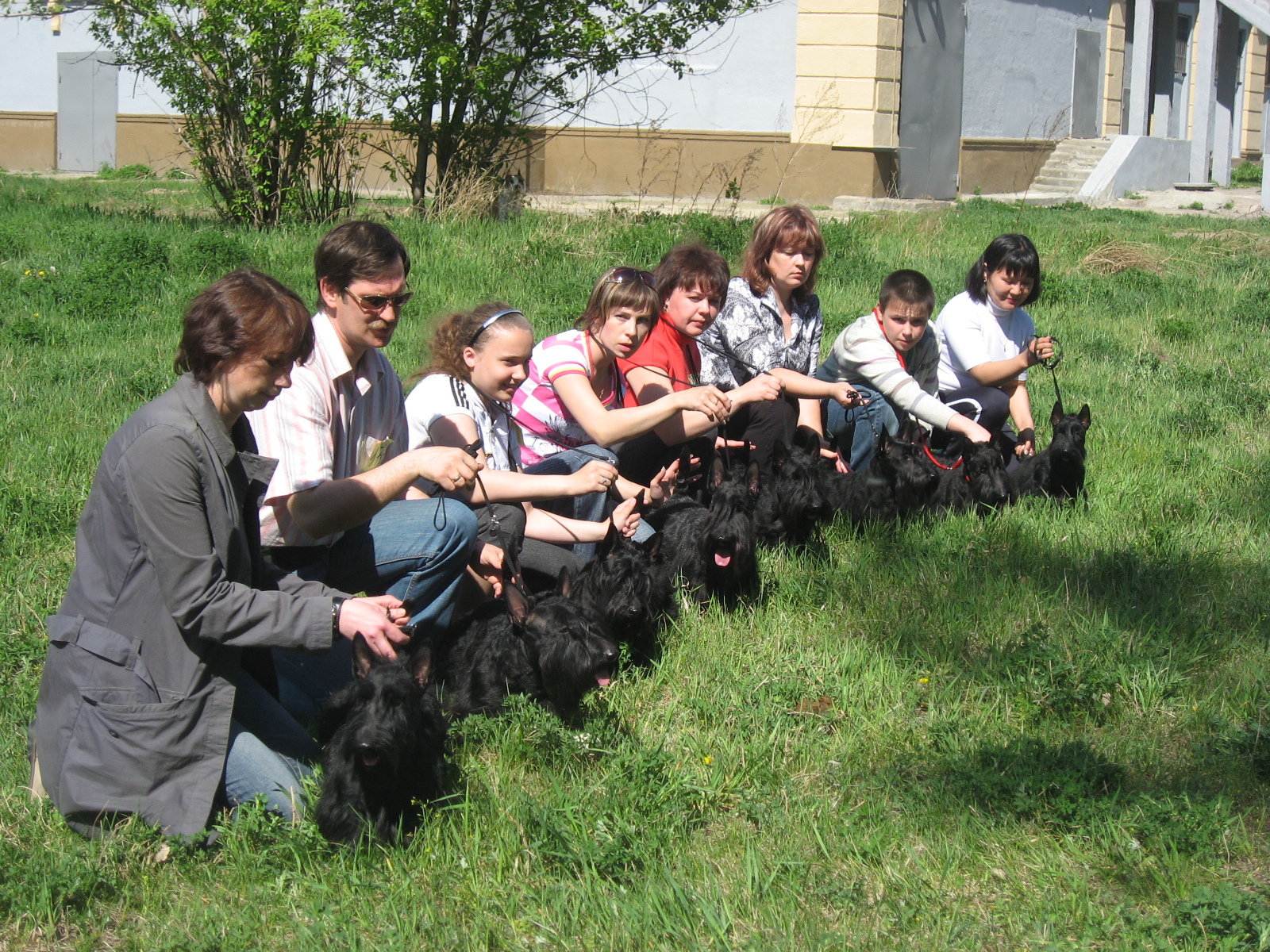парад скотчтерьеров в Ангарске. май 2009 год