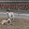 Парикмахерская