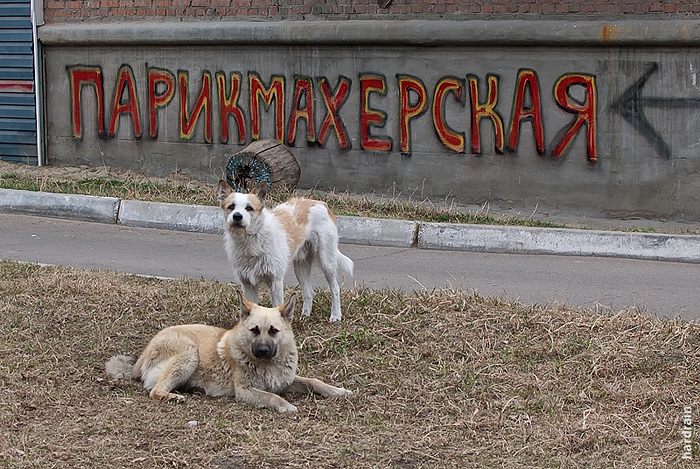 Парикмахерская