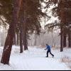 Это наш парк! Мы в нем отдыхаем, гуляем, дышим свежим воздухом. И никому не отдадим!