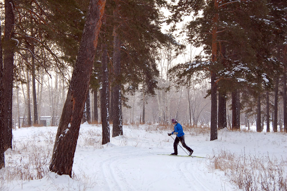 Это наш парк! Мы в нем отдыхаем, гуляем, дышим свежим воздухом. И никому не отдадим!