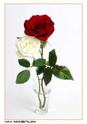 pica4u.ru_1202045627