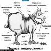 внедорожник