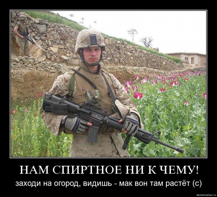 нам  спиртное....